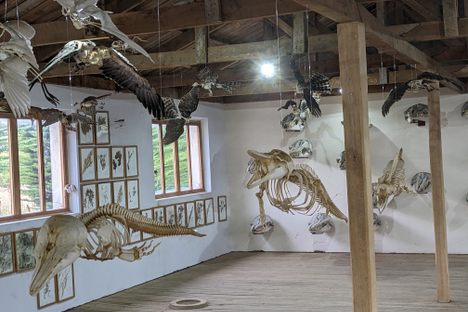 Museo de Historia Natural Río Seco