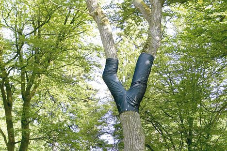 A jaunty selection from Peter Coffin's 2006 series, "Untitled (Tree Pants)."