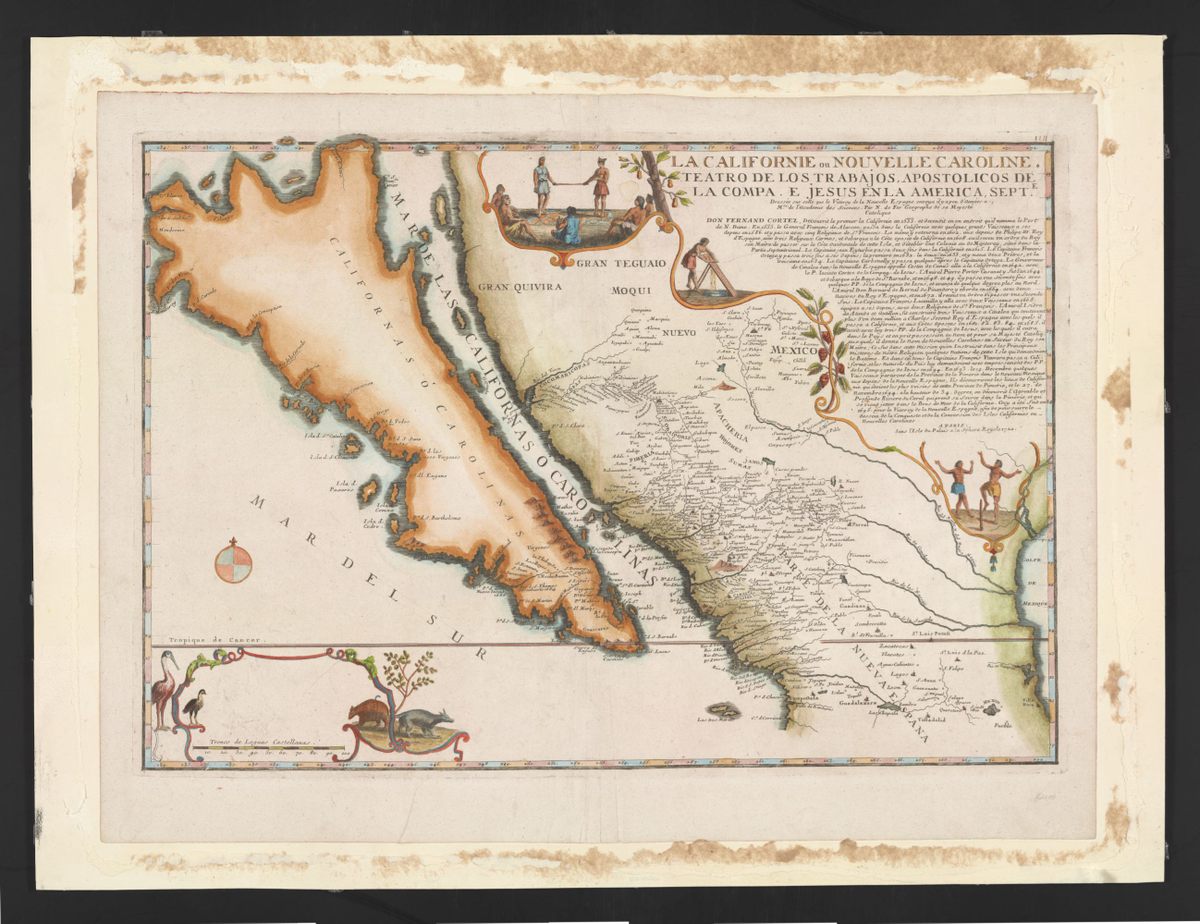 ‘La Californie ou Nouvelle Caroline’: Map by Nicolas de Fer (Paris, 1720) showing California in the shape and color of a giant carrot, floating off the coast of North America, and proposing an alternate name for the island: ‘New Carolina’. The text relates to the missionary work of the Jesuits in the area.