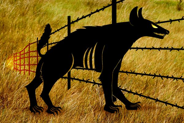 Whether you call it shunka warak'in, the Rocky Mountain hyena or simply the beast, a mysterious canid preyed upon livestock in Montana in the late 1880s.