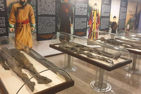The Amasya Mummies