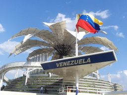 Flor de Venezuela 