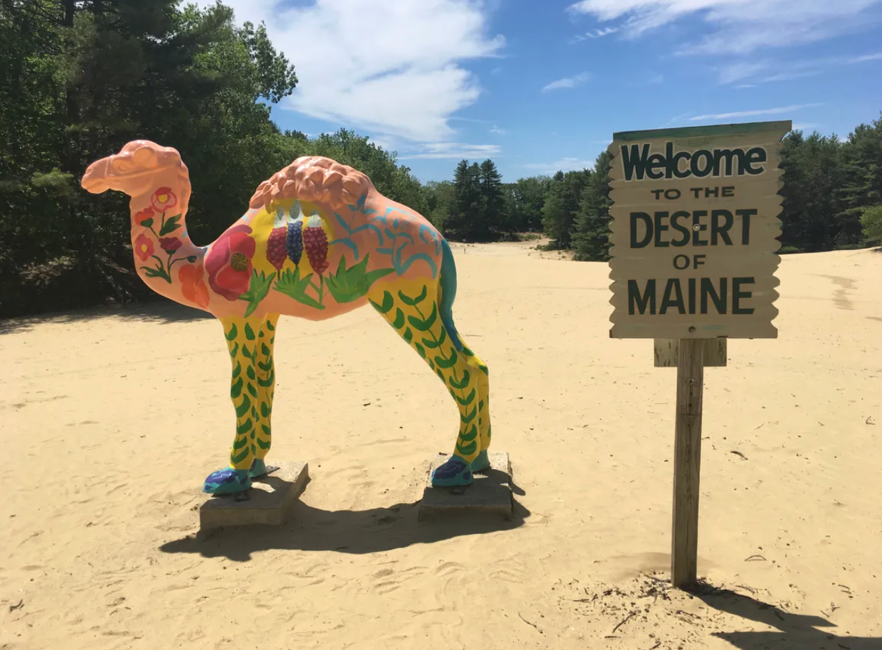 In 1925, Henry Goldrup purchased the land for $300 and turned it into a tourist attraction.