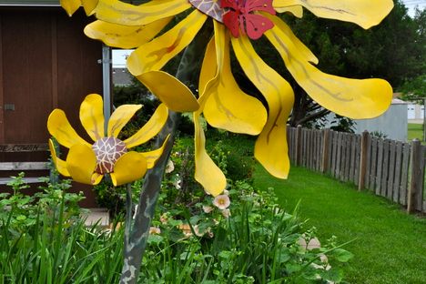 wow flower in lucas kansas