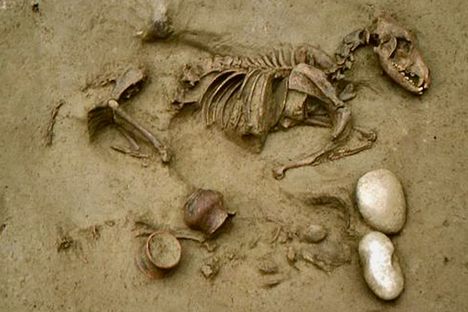 Burial 19, or B19, contained the remains of a large dog and newborn infant girl.