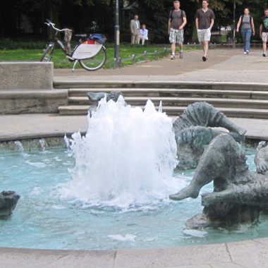 Marshall Brunnen.