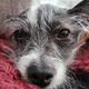 becka1313 profile photo
