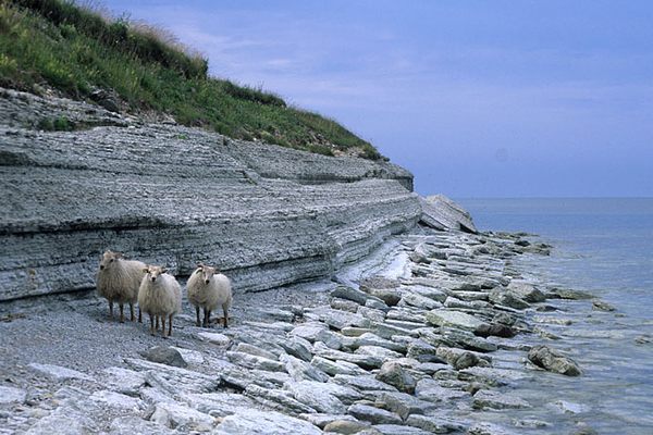 The coast of Osmussaar, an Estonian island.