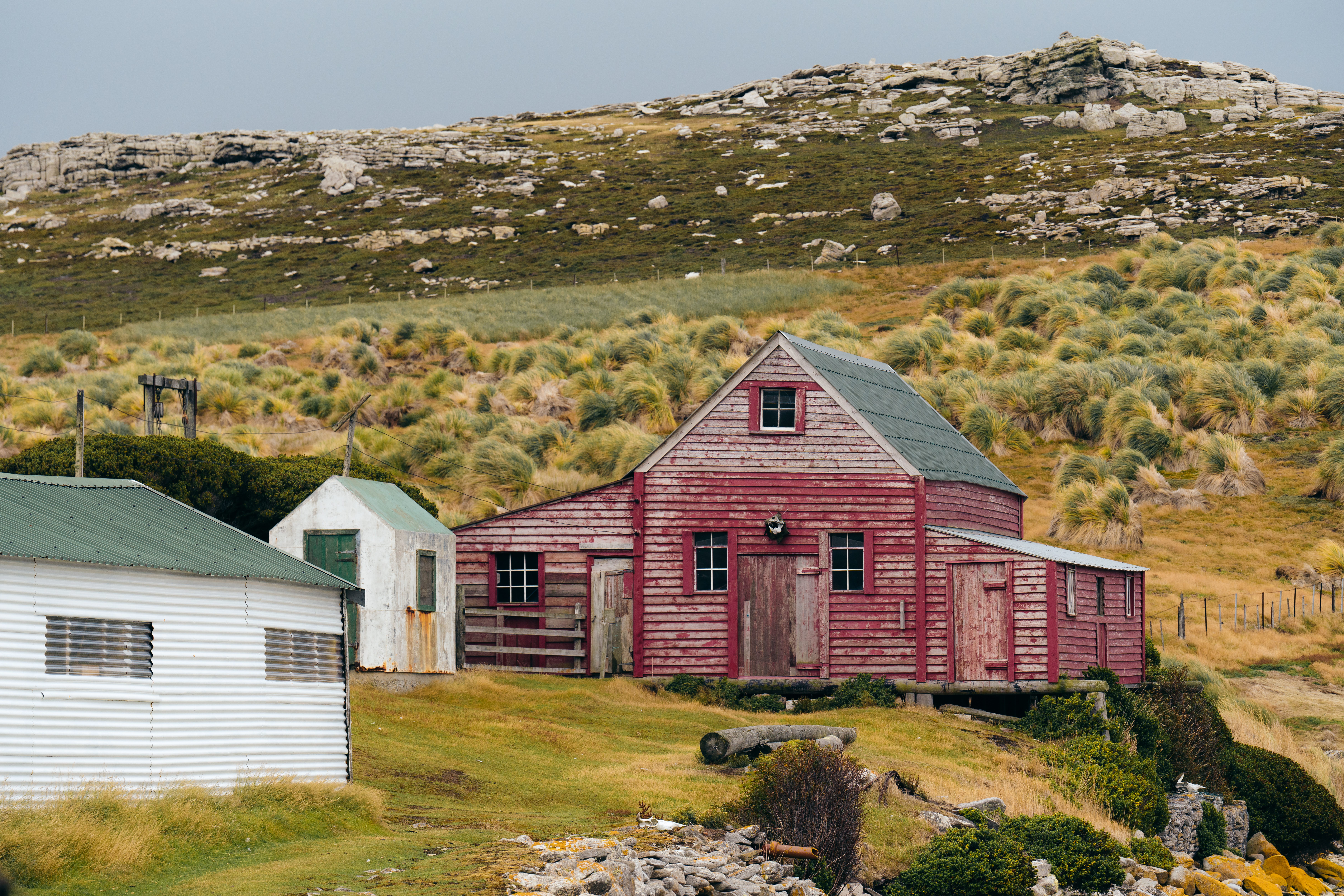 Explore a rugged landscape where British culture meets Antarctic life in the Falkland Islands.