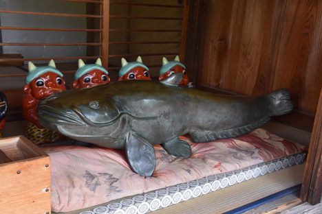 Namazu-San, the Lucky Catfish
