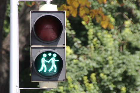 "Ampelparchen," Vienna, Austria.