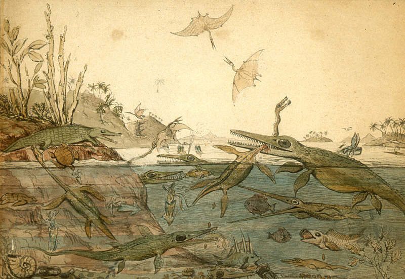 Duria Antiquior famous watercolor by the geologist Henry de la Beche depicting life in ancient Dorset based on fossils found by Mary Anning.