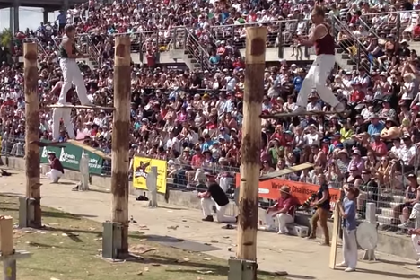 Watch a Fast and Furious Bout of Competitive Tree Felling