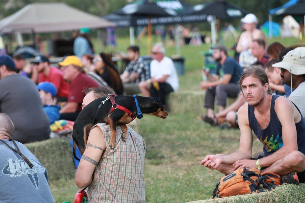 Two and four-legged guests shared audience space in the hay bale amphitheater.