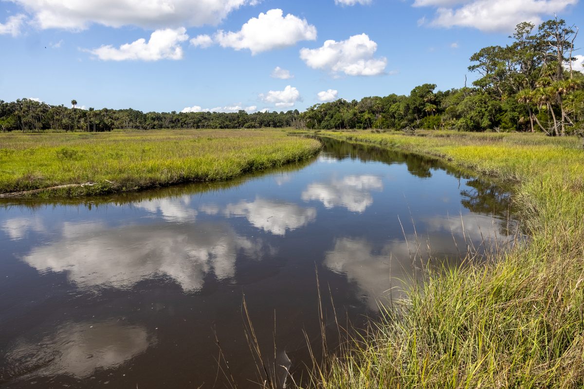 A photo of a salt marsh on Ossabaw Island.