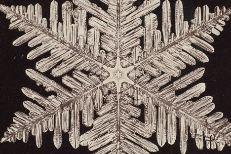 The Microphotographic Wonders of Vermont’s 'Snowflake Man'