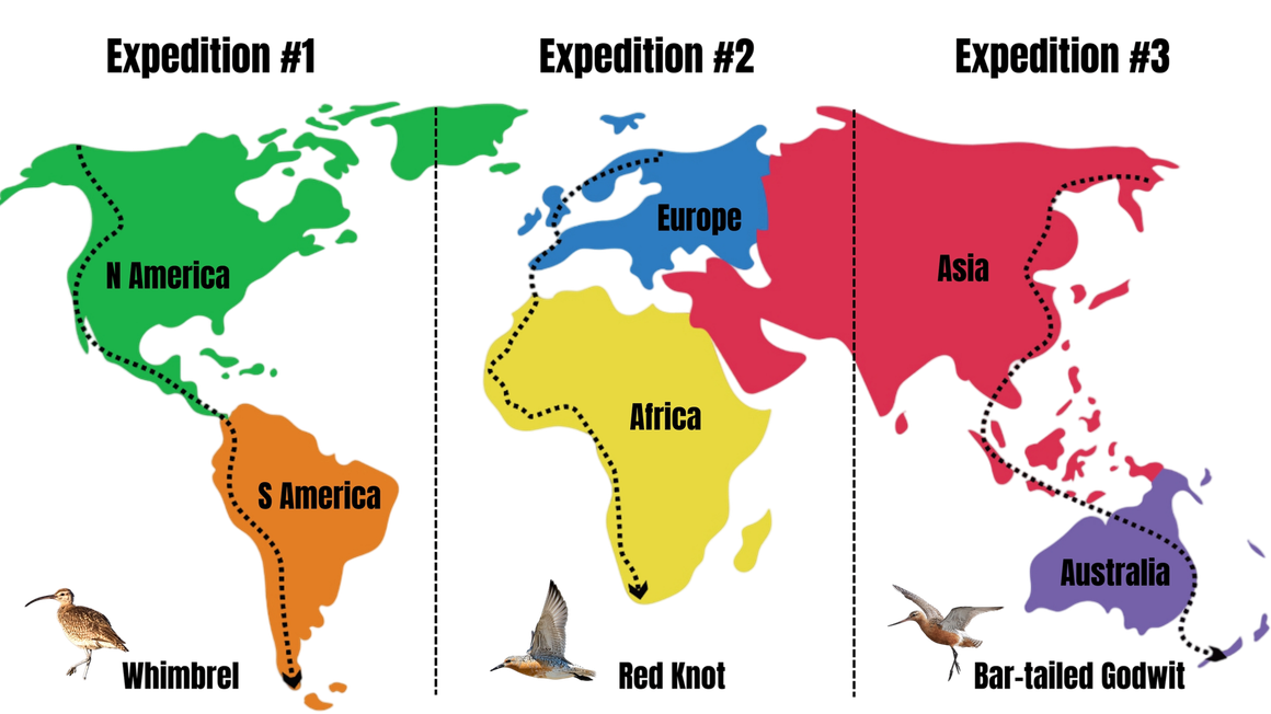 Wings of Survival is conceptualized as a trilogy of successive expeditions along the global flyways.