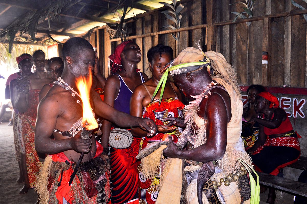 For the Bwiti Missoko and other indigenous groups in Gabon, kevazingo trees are as integral to community culture as temples or rivers are—and nearly as permanent.