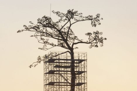 Miracle Pine sculpture under construction