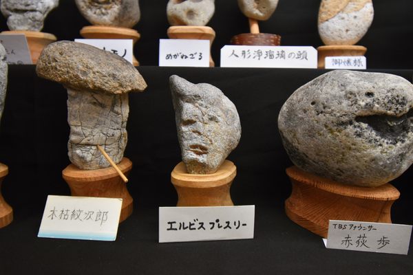 One of the Chinsekikan's most popular stones: Elvis Presley.