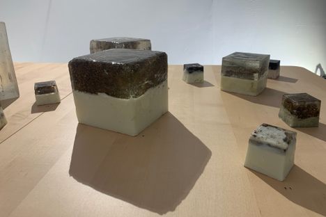 Odor objects on display from M Dougherty's exhibit, "/Forest Bath"