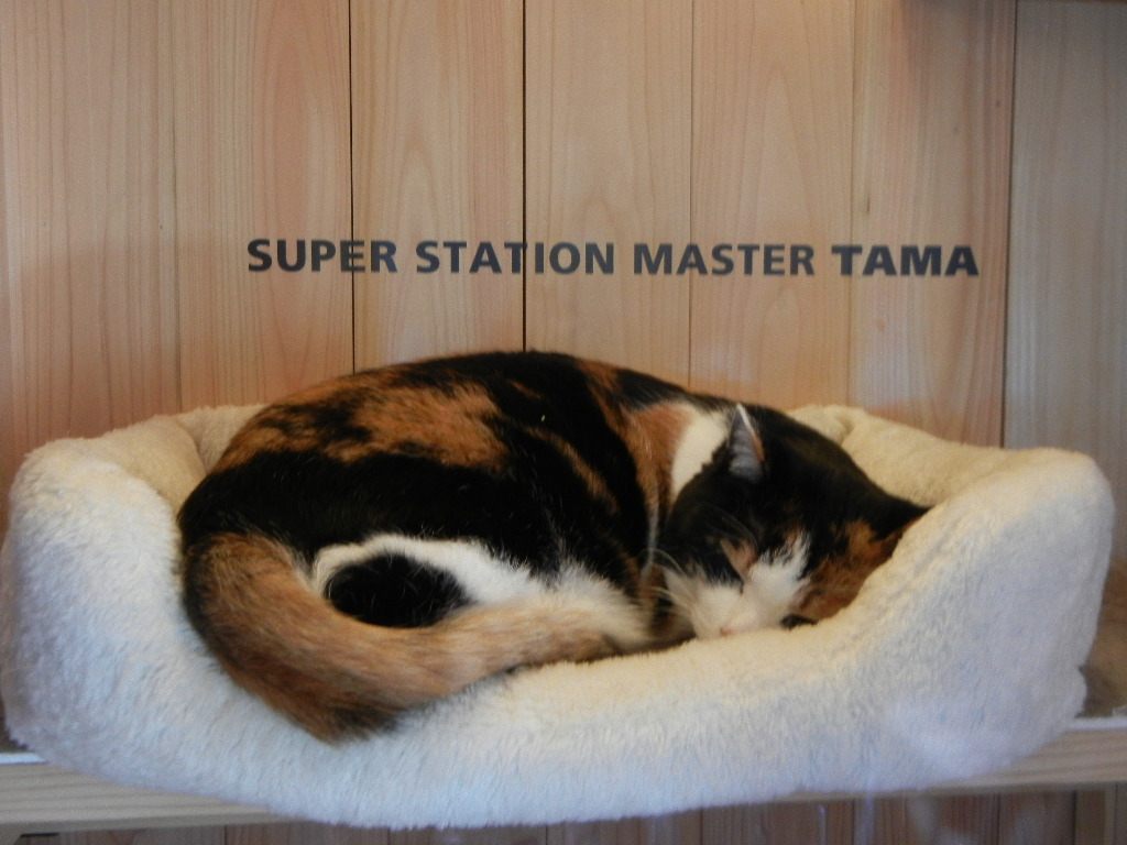 Super Station Master Tama