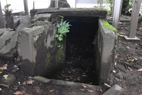 A look into the shelter.