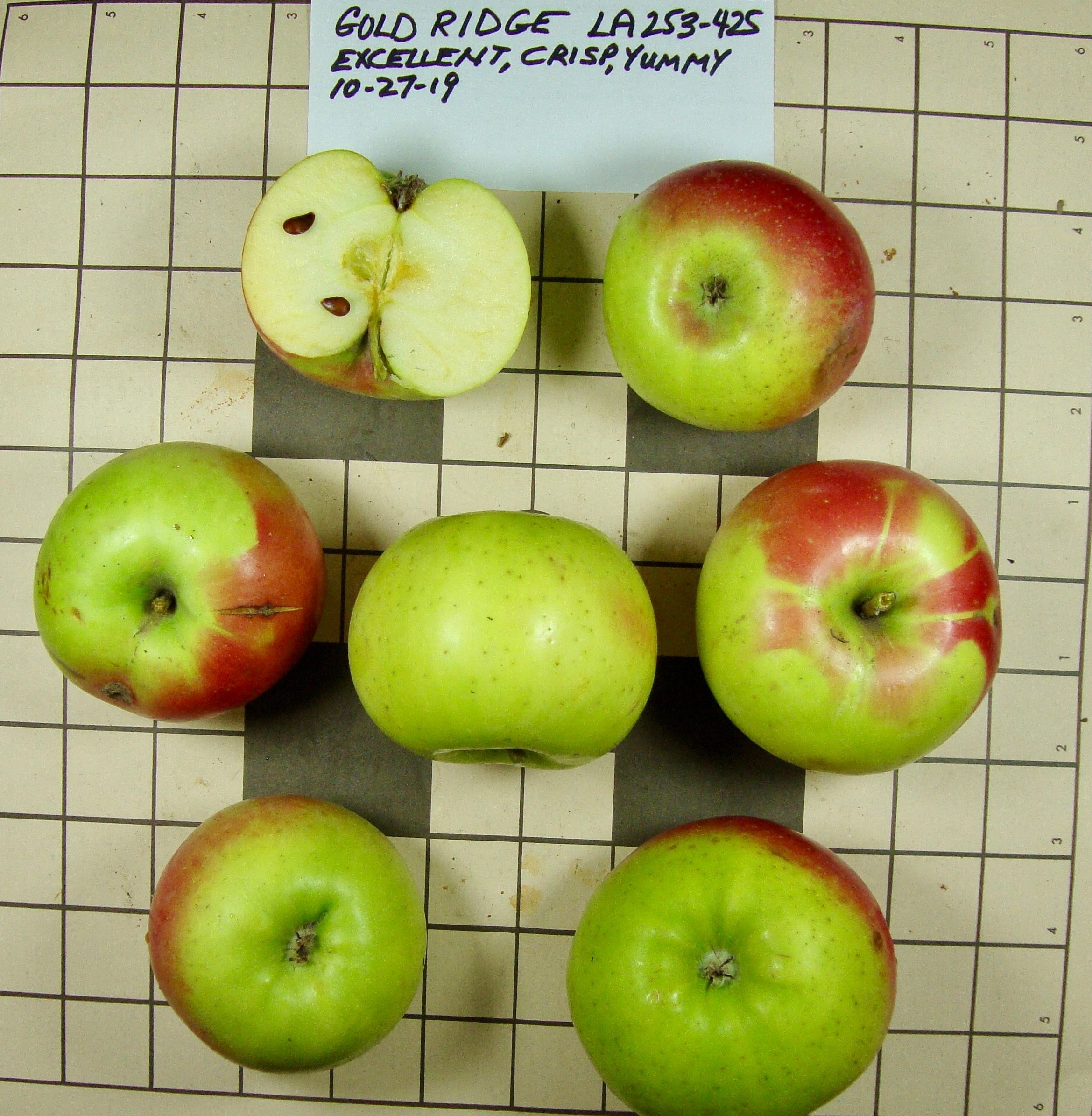 Every Apple You Eat Took Years and Years to Make - Gastro Obscura