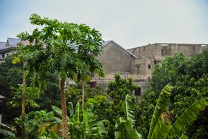 Photo of Democratic Republic of the Congo