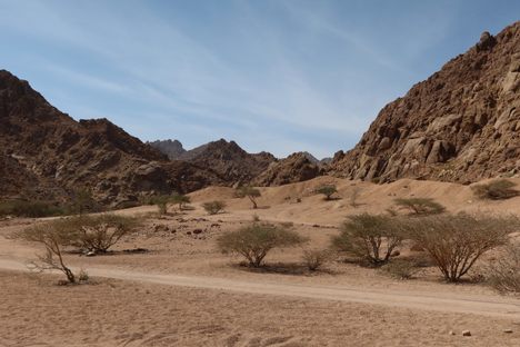 Wadi-e Jinn