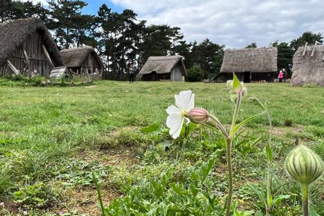 West Stow Anglo-Saxon Village