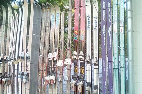 Alpine Asphalt's Wall of Skis