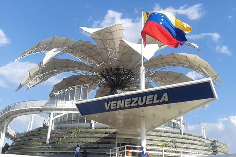 Flor de Venezuela 