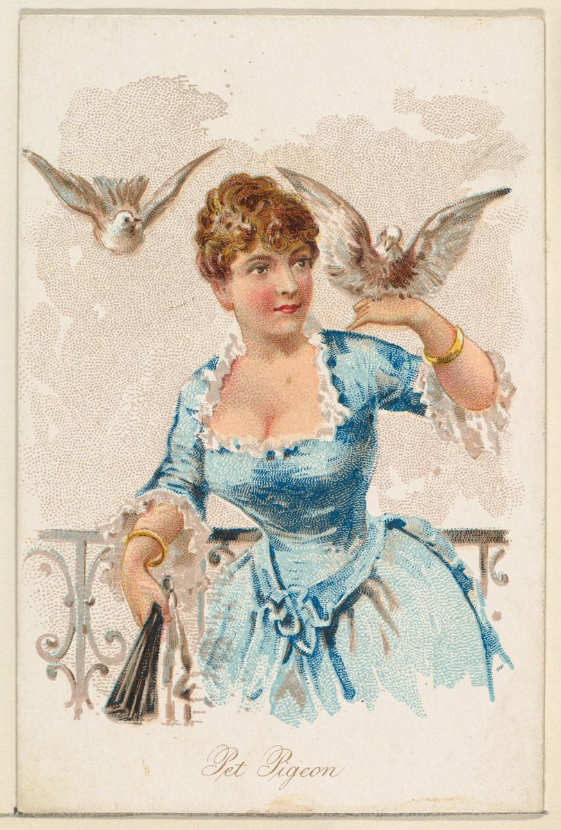 Pigeons were included in a series of 1891 illustrations entitled “Household Pets.”