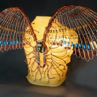 Profile image for paleoelectrician