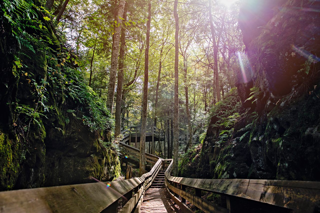 Parkitecture & Provisions: A West Virginia Road Trip - Atlas Obscura