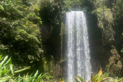 Millaa Millaa Falls