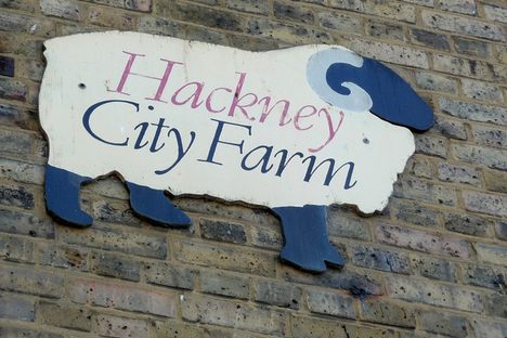 Hackney City Farm