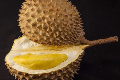 The edible contents of the durian have been compared to custard.