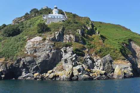 Sark could be home to you and your cows.