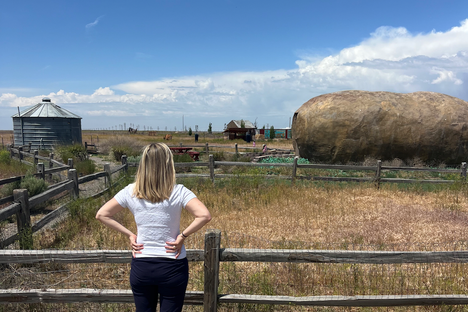 This Potato Has Been to All 50 States