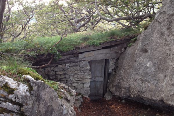 The hut.