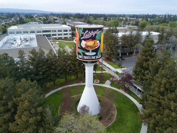 The Weird, Wonderful World of Water Towers 