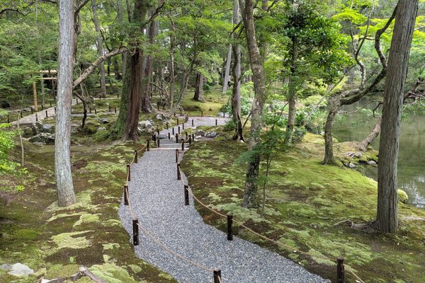 A path through the moss garden