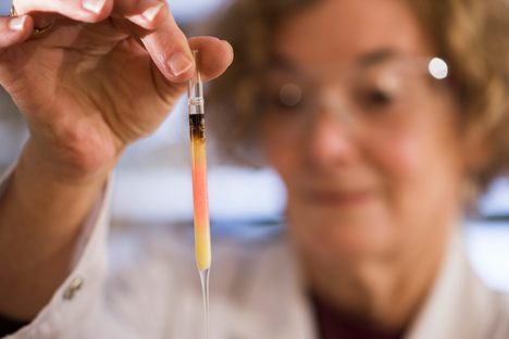 The oldest intact pigments ever found are about the color of a sunset.