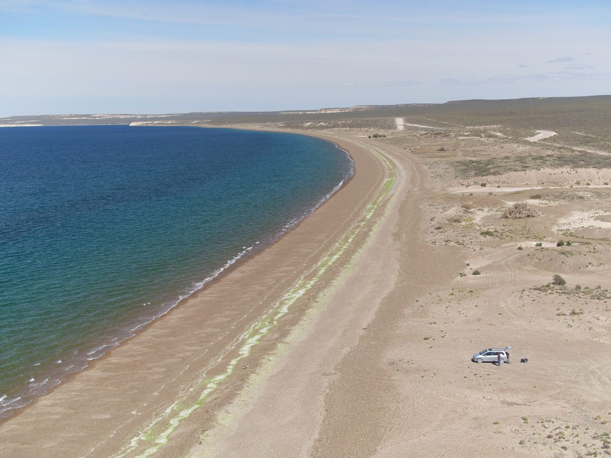 Since the whales came in so close to shore, the team could fly their drones from the beach.