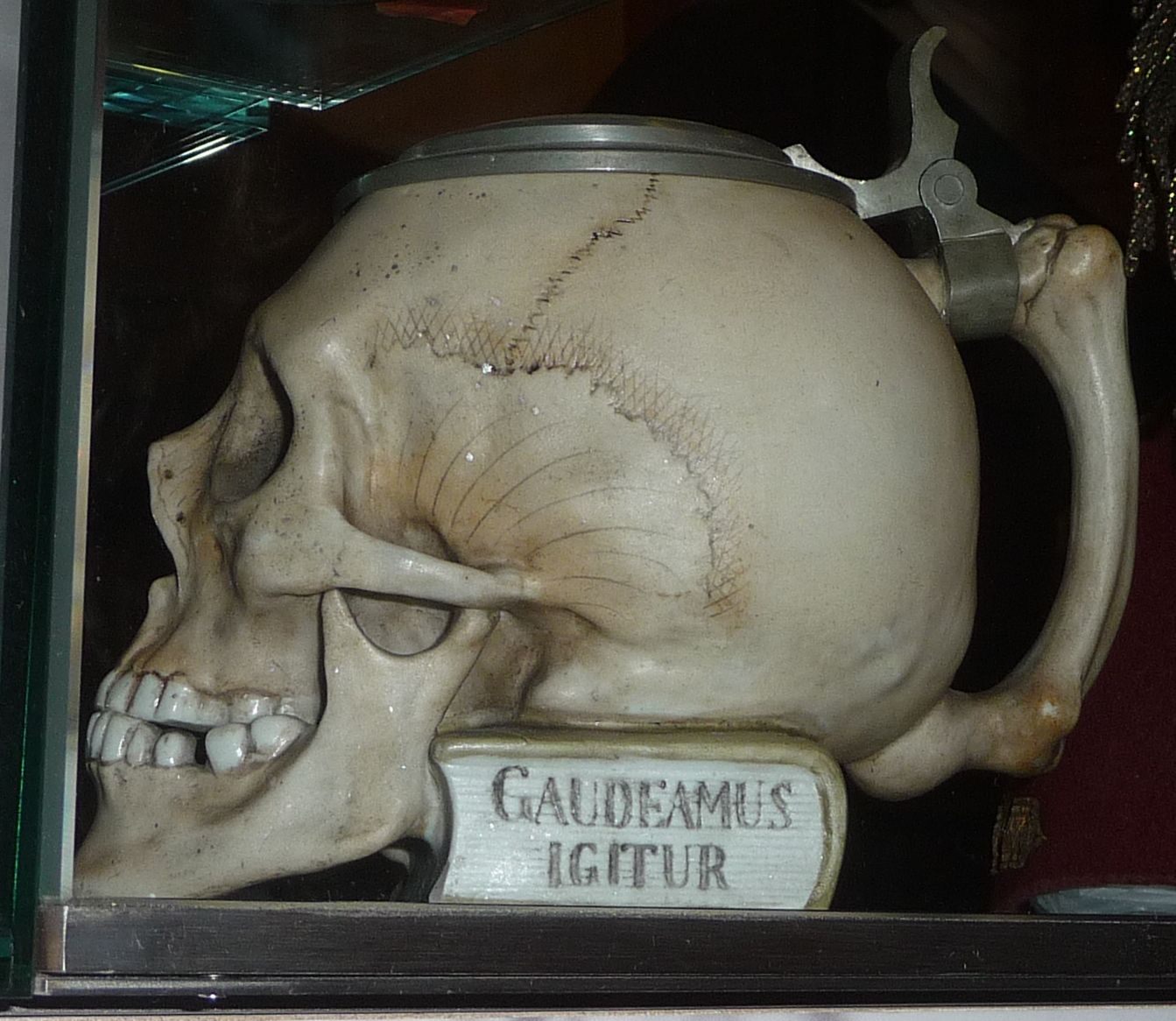 Gaudeaumus Igitur.