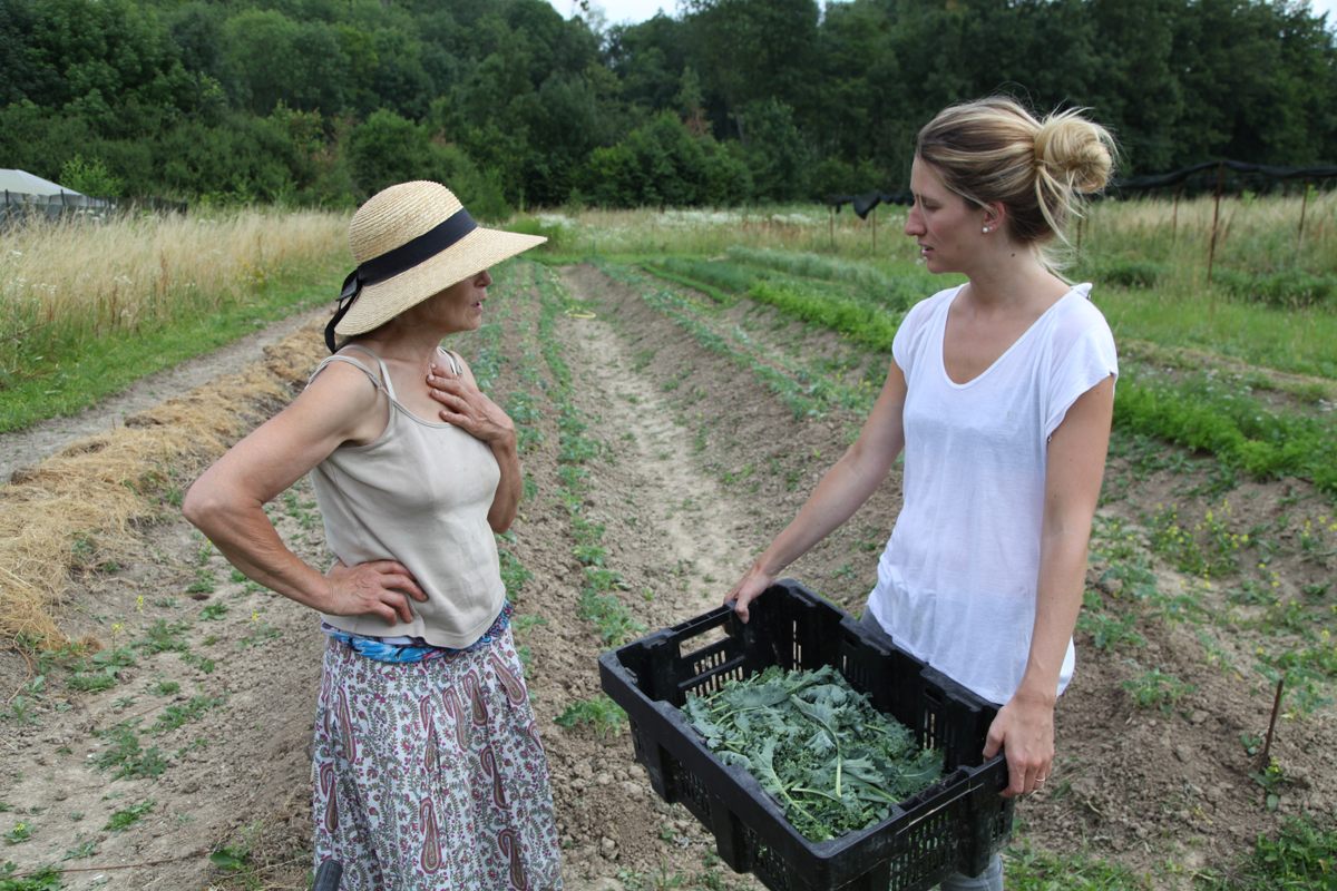 Kristen Beddard and Hermione Boehrer harvest kale in Coulommiers, France.