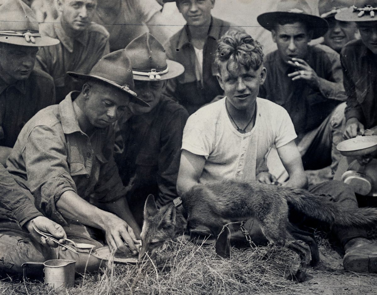 Jewel the fox with his masters at Van Cortlandt Park, New York City in 1917.