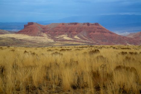 The Red Gulch Dinosaur Tracksite is in the heart of the Bighorn Basin in north-central Wyoming.